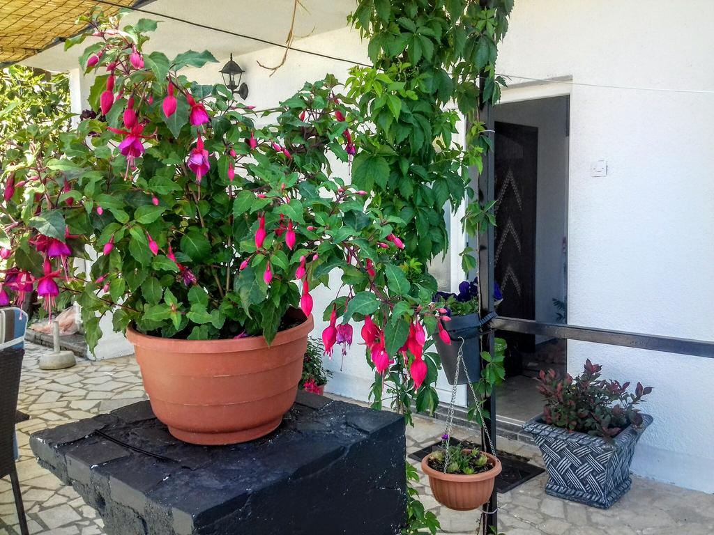 Apartment Little Princess Dora Senj (Lika-Senj) Exterior foto